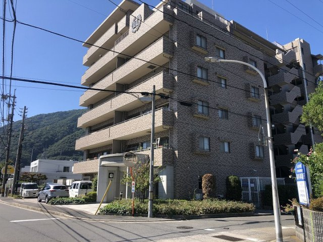 外観：334000237721