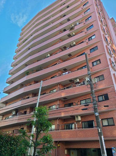 外観：314002336617