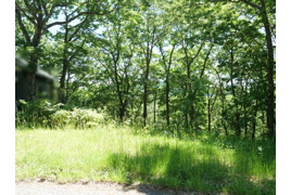 ひるがの高原リゾート翠峯苑①の外観