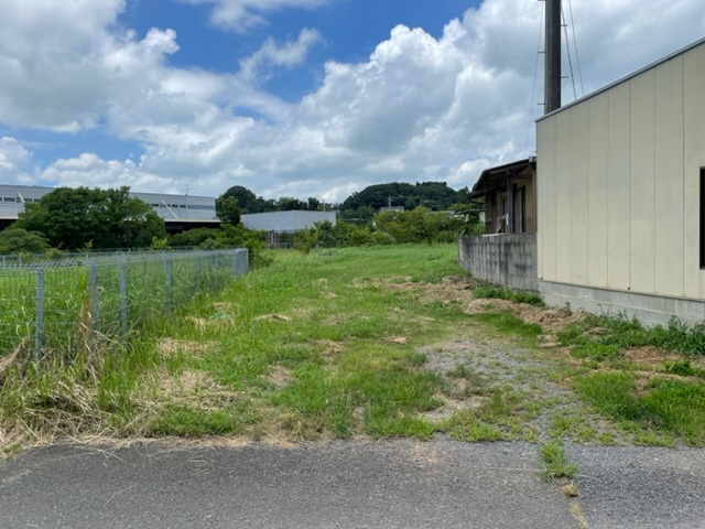 現地写真です