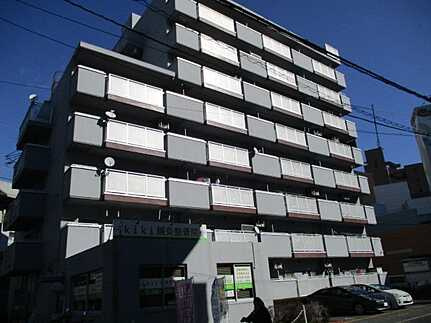 外観：334000236384