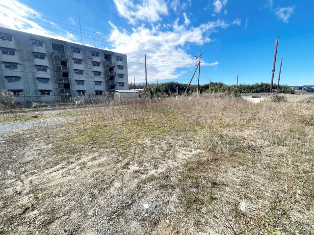 外観：308000173876