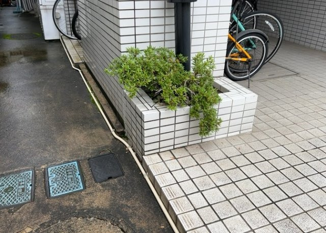 中庭（パティオ）とは、一つの建築物の内部に設けられた、壁などで囲われている庭のことを指します。コの字型、ロの字型が主流ですが、L字型の中庭もあります。最近では、インテリア性の高さからも人気があります。