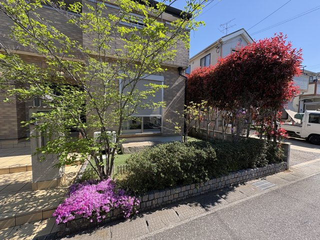 庭