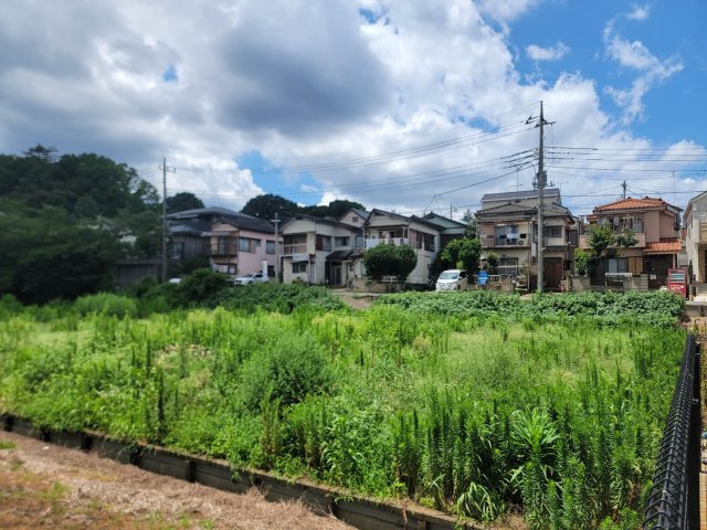 展望