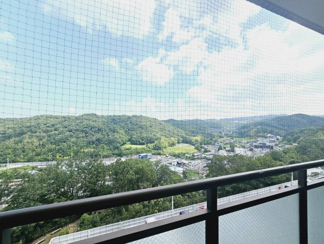 展望