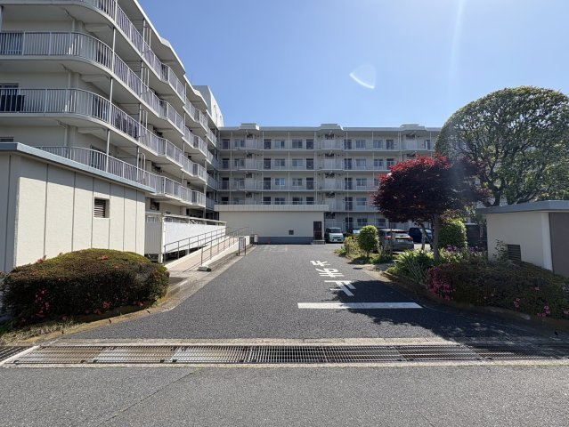 本日見たい！も大歓迎です。お気軽にお問い合わせください！