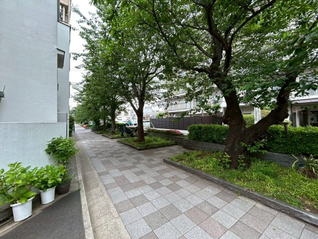 2026年5月15日撮影