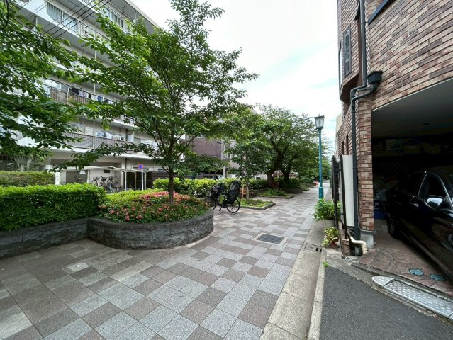 2026年5月15日撮影