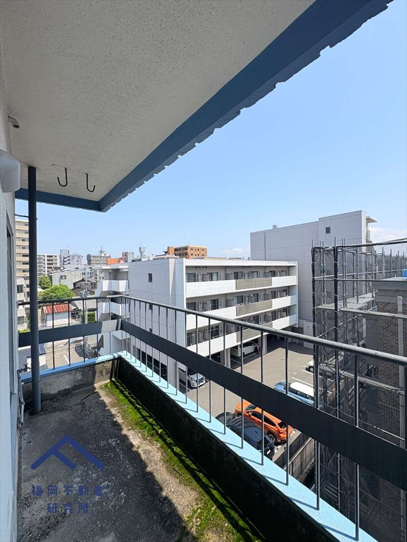 展望