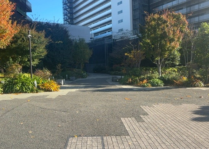 中庭（パティオ）とは、一つの建築物の内部に設けられた、壁などで囲われている庭のことを指します。コの字型、ロの字型が主流ですが、L字型の中庭もあります。最近では、インテリア性の高さからも人気があります。