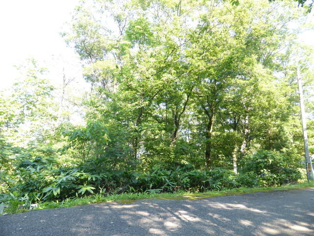 外観：317000010012