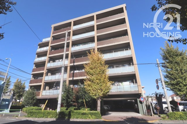 外観：313004684772