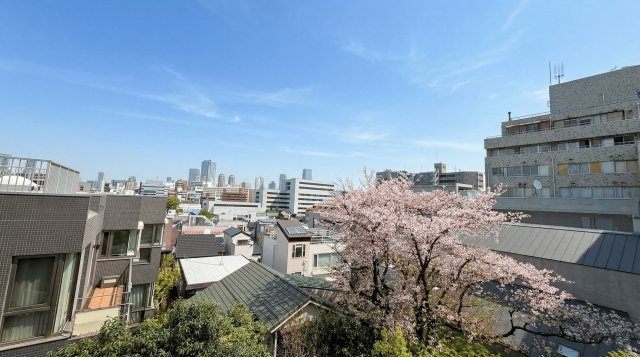 寝室から望む、青空と満開の桜、そして遠くのビル群。豊かな自然が調和する絶景です。現所有者様はデスクを置き、この景色に癒やされながら在宅ワークをされています。集中とリラックスが叶う特等席。