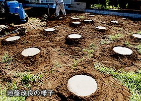 【新築 新潟市東区下場本町 第2 1号のその他】