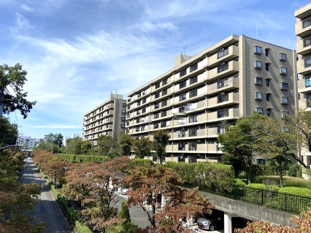 外観：313004612070