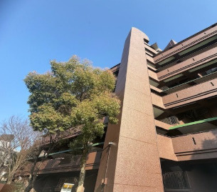 外観：343000096076