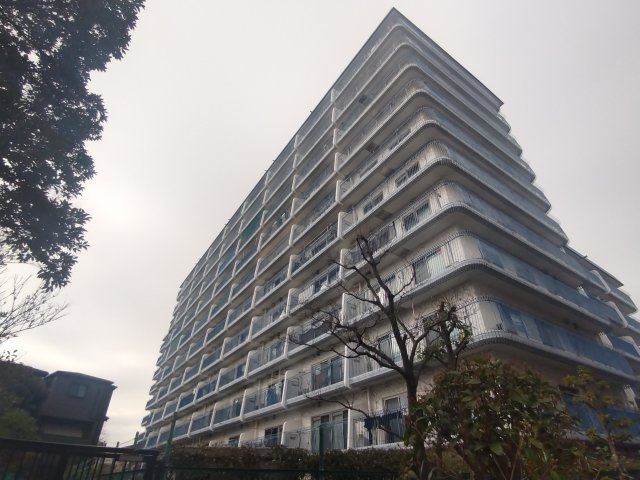 外観：313004739065