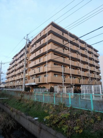 外観：311002323989