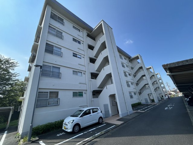 外観：313004910341
