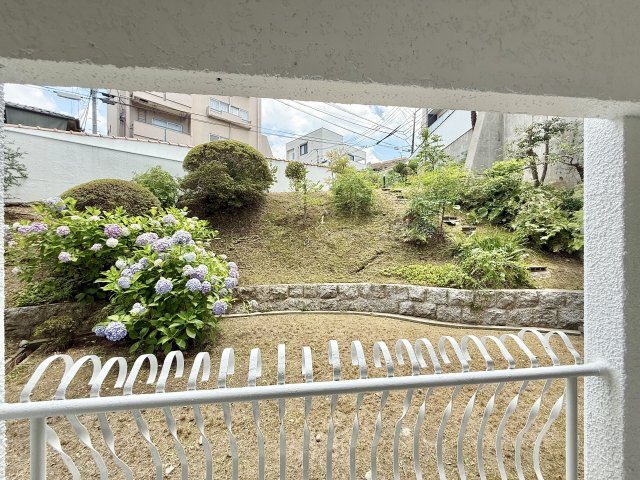 展望