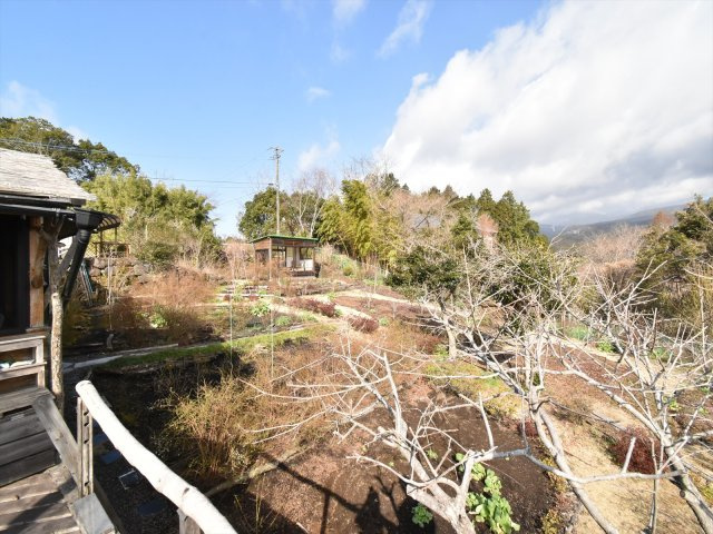 庭