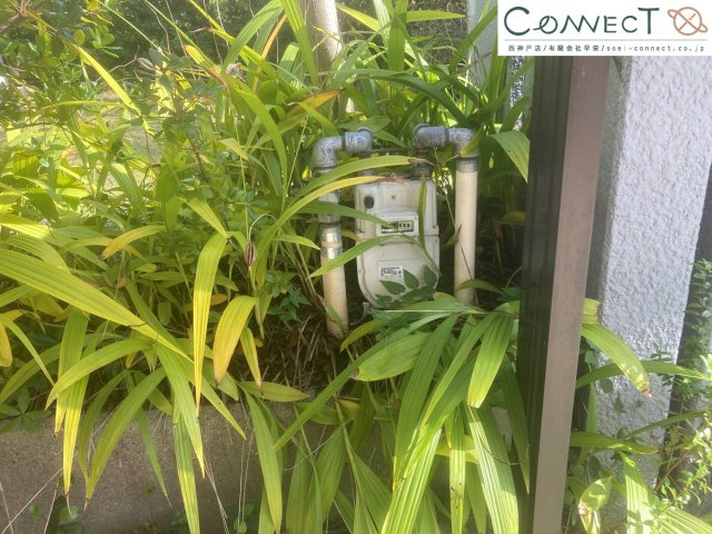 外観：328000557752