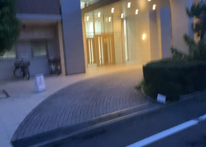 外観：313004889916