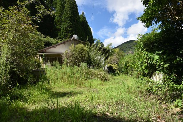 外観：346000037338