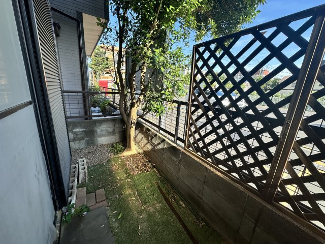 庭