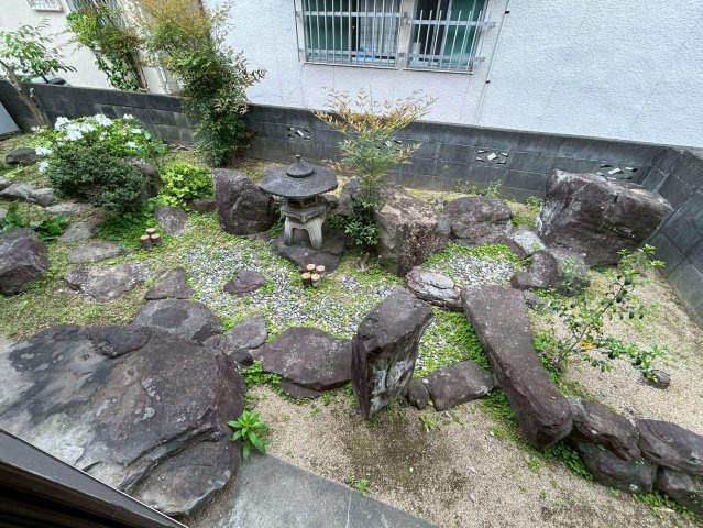 庭