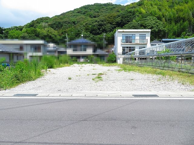 外観：339000051537