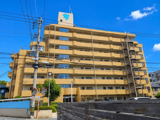 外観：346000047726