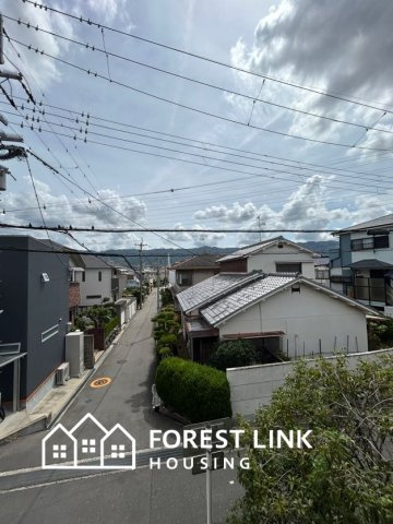 展望