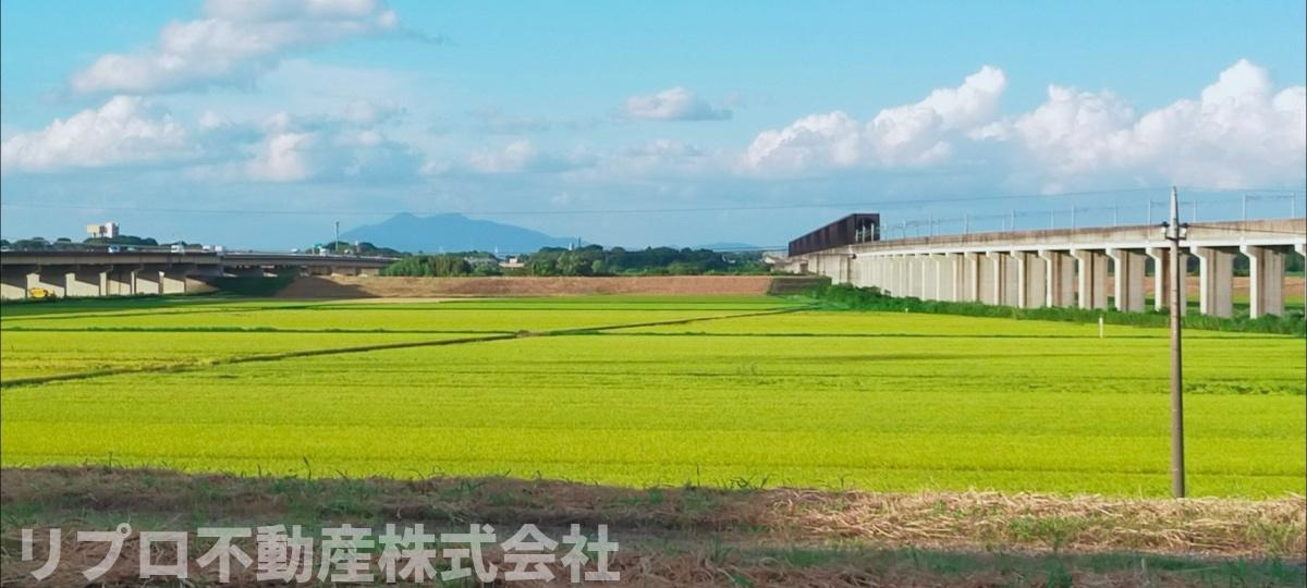 正面に筑波山と田園が見渡せる眺望です！季節により花火も見ることができます♪