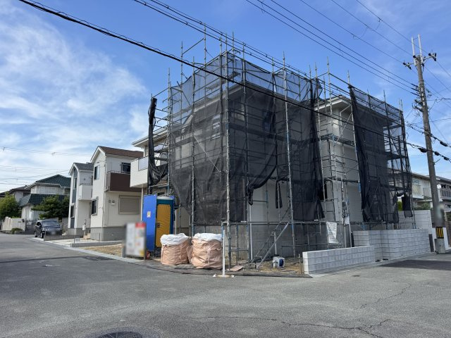 2026年7月3日撮影