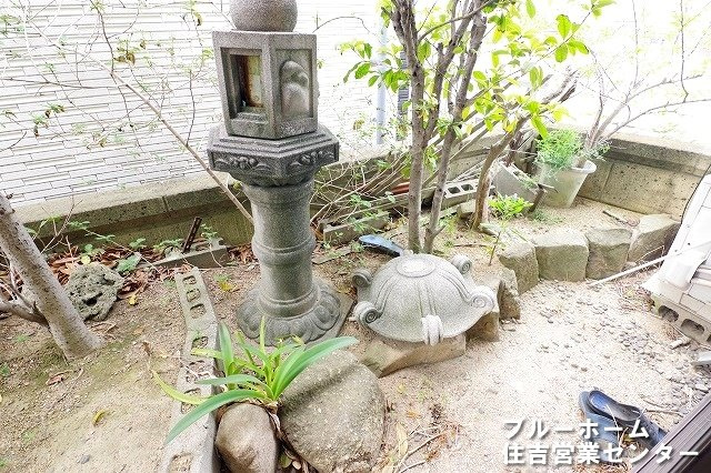 庭