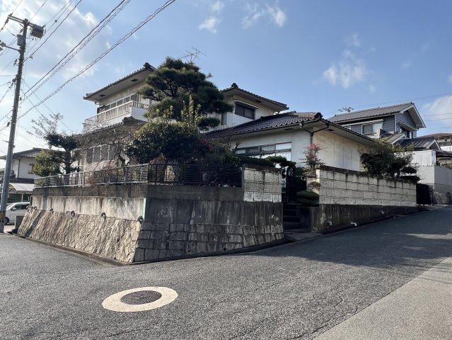 外観：334000229914