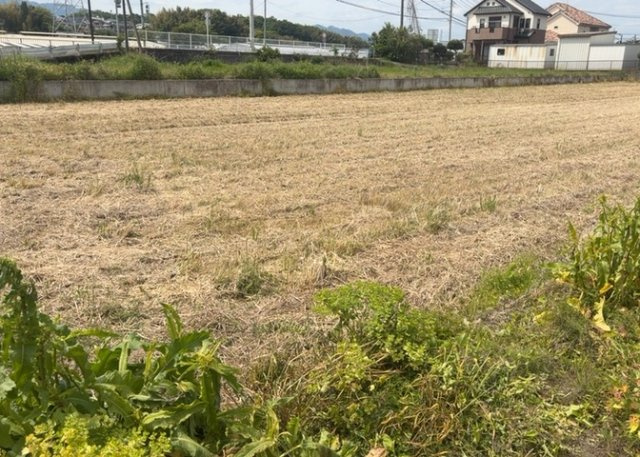 家を建てる場合、方位は要チェックです。現実的に日当たりのよい家ならばリビングは南側、建築基準法でも北側に当たる家への配慮は求められています。土地を見学に行く際は、方位磁針を持って行くようにしましょう。