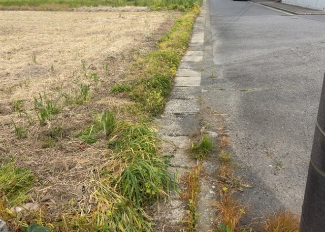 土地購入を検討されている場合、境界杭がない状態で購入してしまうと境界確定測量をする必要があり、費用がかかります。購入の前に、売主、隣土地所有者立ち合いのもと境界を確定し境界杭を設置するのがベストです。