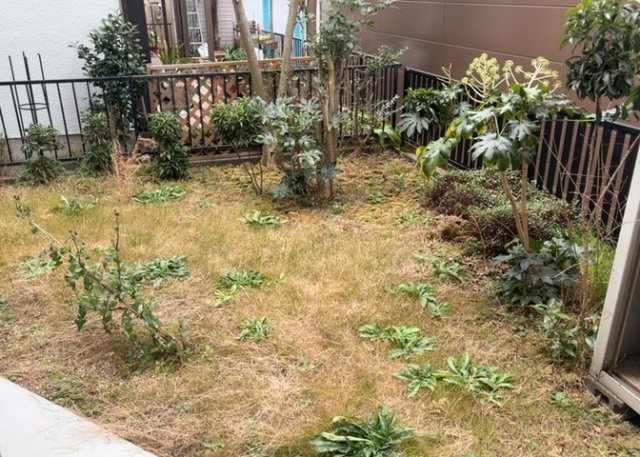 中庭（パティオ）とは、一つの建築物の内部に設けられた、壁などで囲われている庭のことを指します。コの字型、ロの字型が主流ですが、L字型の中庭もあります。最近では、インテリア性の高さからも人気があります。