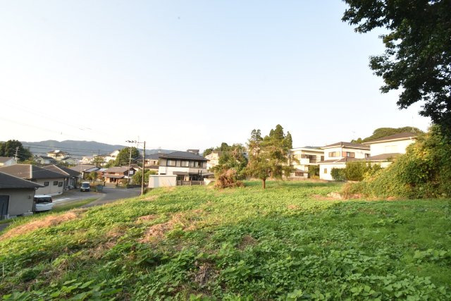 外観：346000037844