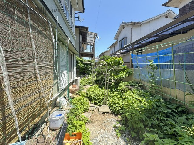 庭