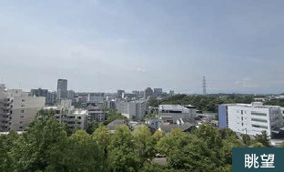展望