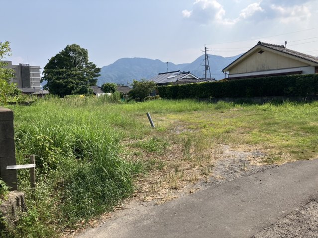 外観：346000037471