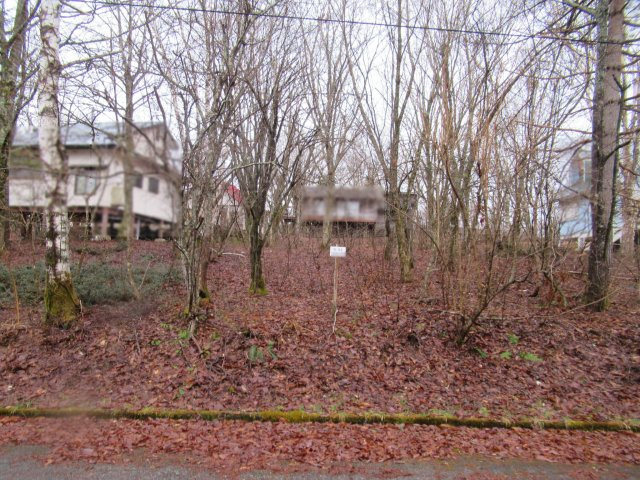 外観：321000072452