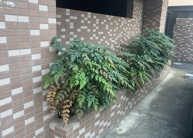 庭があることでガーデニングや家庭菜園はもちろん、こどもの遊び場やペットを放して遊ぶことができます。また、家の周囲に余裕があるということです。隣地との間があれば、十分な日当たりと、風通しが確保できます。