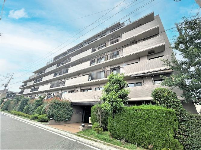 外観：311002293967