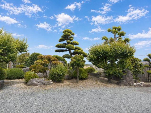 お庭で自由な時間を過ごせます