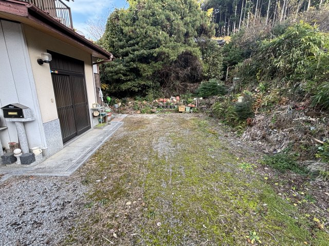 庭